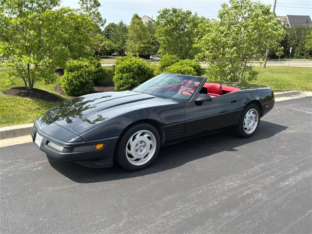 1991 Chevrolet Corvette (CC-2077126) for sale in Clarksburg, Maryland