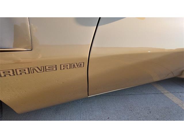 1979 Pontiac Firebird Trans Am (CC-2077138) for sale in Sioux Falls, South Dakota