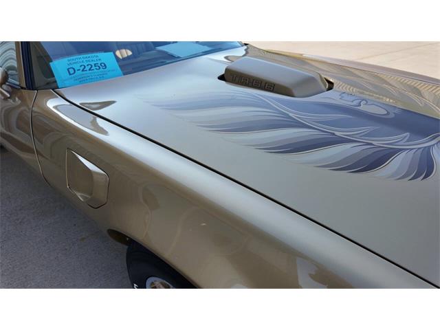 1979 Pontiac Firebird Trans Am (CC-2077138) for sale in Sioux Falls, South Dakota