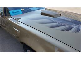 1979 Pontiac Firebird Trans Am (CC-2077138) for sale in Sioux Falls, South Dakota