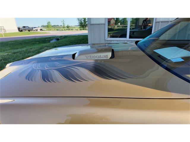 1979 Pontiac Firebird Trans Am (CC-2077138) for sale in Sioux Falls, South Dakota