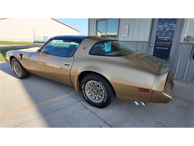1979 Pontiac Firebird Trans Am (CC-2077138) for sale in Sioux Falls, South Dakota