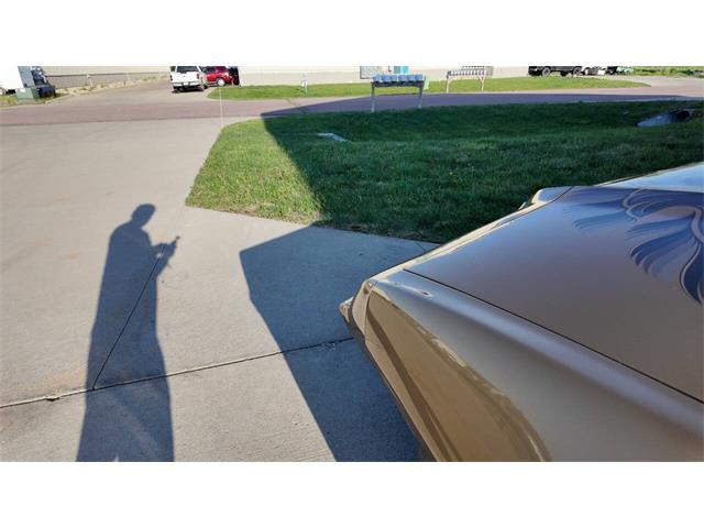 1979 Pontiac Firebird Trans Am (CC-2077138) for sale in Sioux Falls, South Dakota