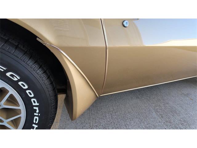 1979 Pontiac Firebird Trans Am (CC-2077138) for sale in Sioux Falls, South Dakota