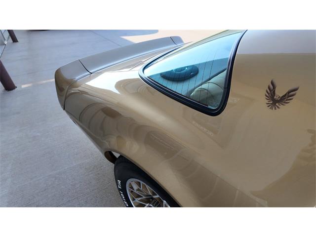 1979 Pontiac Firebird Trans Am (CC-2077138) for sale in Sioux Falls, South Dakota