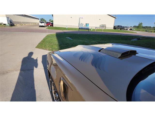 1979 Pontiac Firebird Trans Am (CC-2077138) for sale in Sioux Falls, South Dakota