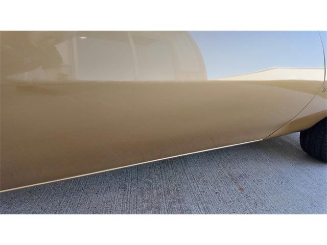 1979 Pontiac Firebird Trans Am (CC-2077138) for sale in Sioux Falls, South Dakota