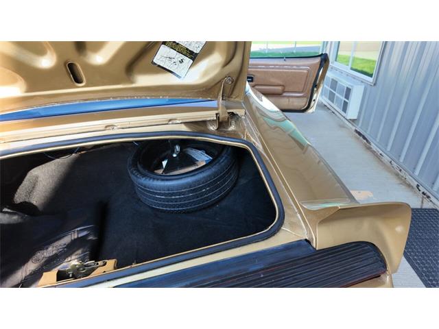1979 Pontiac Firebird Trans Am (CC-2077138) for sale in Sioux Falls, South Dakota