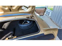 1979 Pontiac Firebird Trans Am (CC-2077138) for sale in Sioux Falls, South Dakota