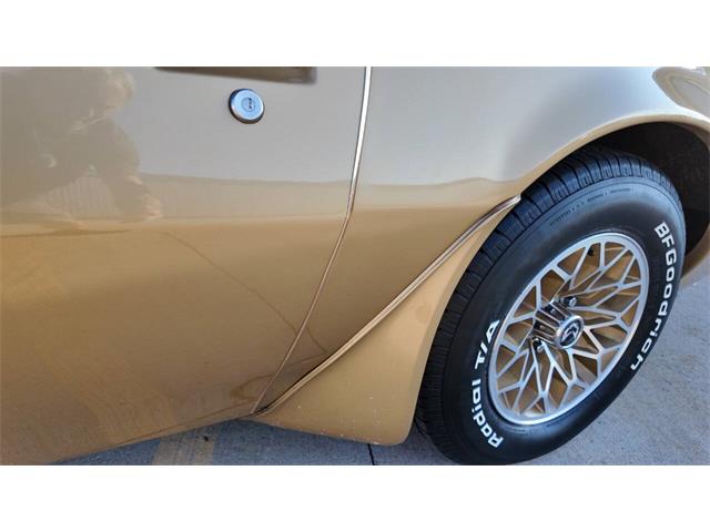 1979 Pontiac Firebird Trans Am (CC-2077138) for sale in Sioux Falls, South Dakota