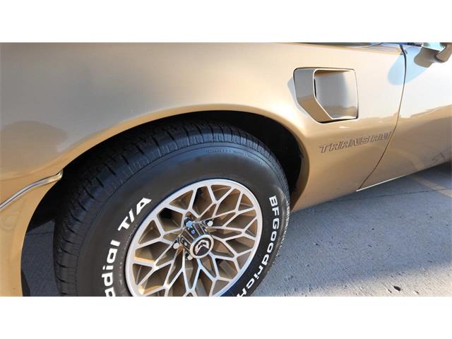 1979 Pontiac Firebird Trans Am (CC-2077138) for sale in Sioux Falls, South Dakota
