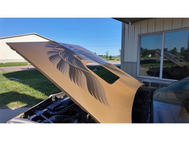 1979 Pontiac Firebird Trans Am (CC-2077138) for sale in Sioux Falls, South Dakota