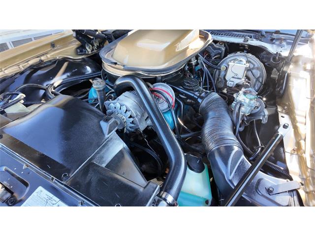 1979 Pontiac Firebird Trans Am (CC-2077138) for sale in Sioux Falls, South Dakota