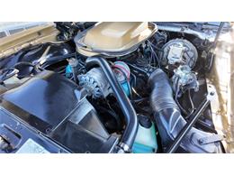 1979 Pontiac Firebird Trans Am (CC-2077138) for sale in Sioux Falls, South Dakota