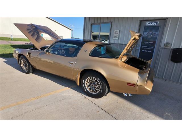 1979 Pontiac Firebird Trans Am (CC-2077138) for sale in Sioux Falls, South Dakota