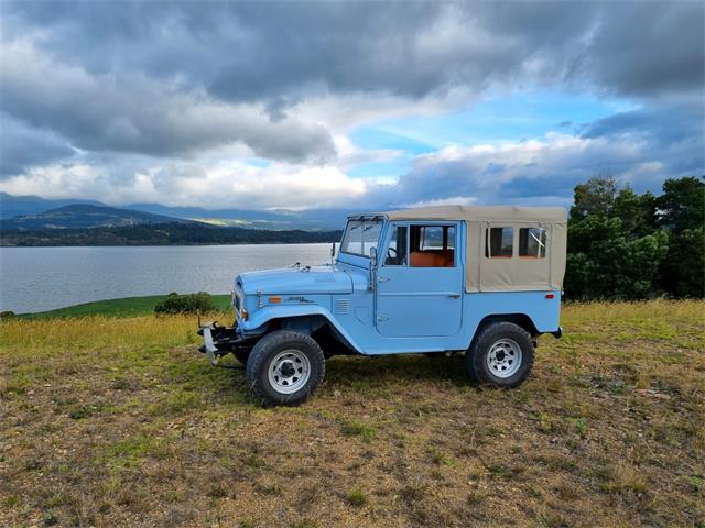 1973 Toyota Land Cruiser FJ40 (CC-2077174) for sale in Wellington, Florida