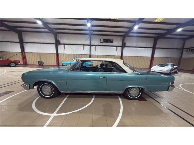 1965 AMC Rambler (CC-2077178) for sale in Spring Branch, Texas