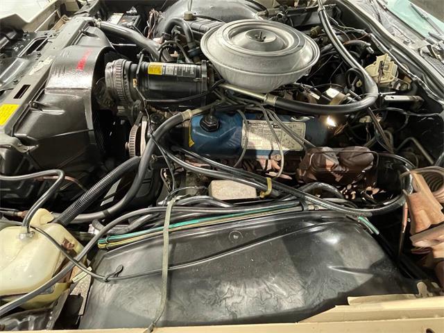 1979 Lincoln Continental (CC-2070718) for sale in Hilton, New York