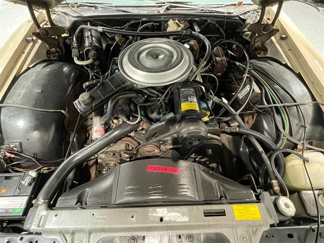 1979 Lincoln Continental (CC-2070718) for sale in Hilton, New York