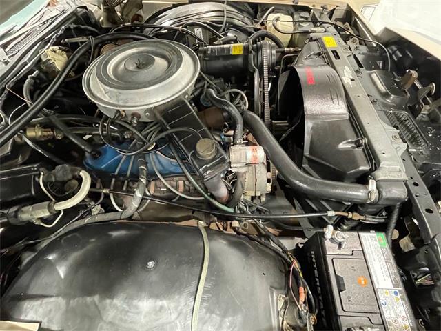 1979 Lincoln Continental (CC-2070718) for sale in Hilton, New York