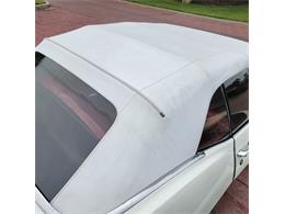 1967 Chevrolet Camaro SS (CC-2077225) for sale in CONROE, Texas