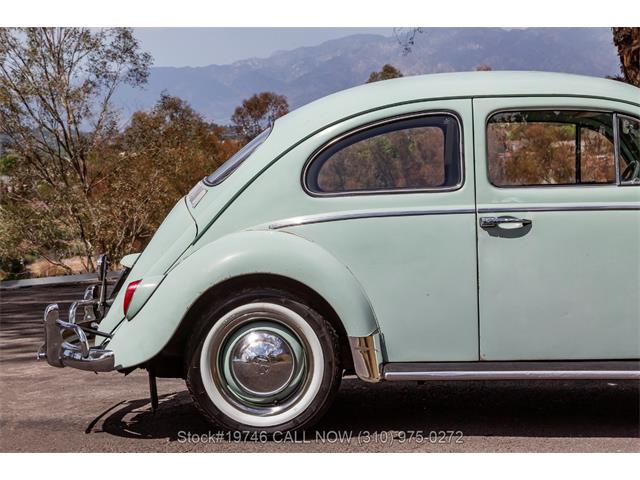 1964 Volkswagen Beetle (CC-2077242) for sale in Beverly Hills, California