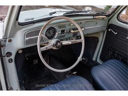 1964 Volkswagen Beetle (CC-2077242) for sale in Beverly Hills, California