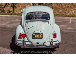 1964 Volkswagen Beetle (CC-2077242) for sale in Beverly Hills, California