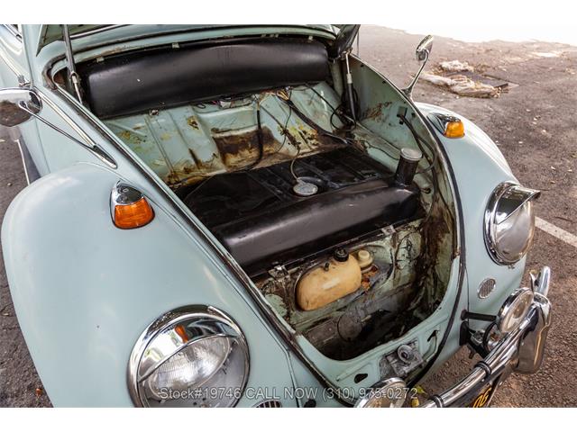 1964 Volkswagen Beetle (CC-2077242) for sale in Beverly Hills, California