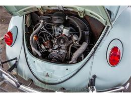 1964 Volkswagen Beetle (CC-2077242) for sale in Beverly Hills, California
