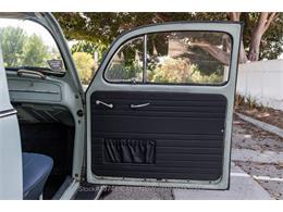 1964 Volkswagen Beetle (CC-2077242) for sale in Beverly Hills, California