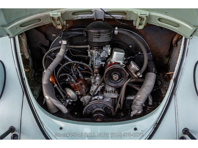 1964 Volkswagen Beetle (CC-2077242) for sale in Beverly Hills, California