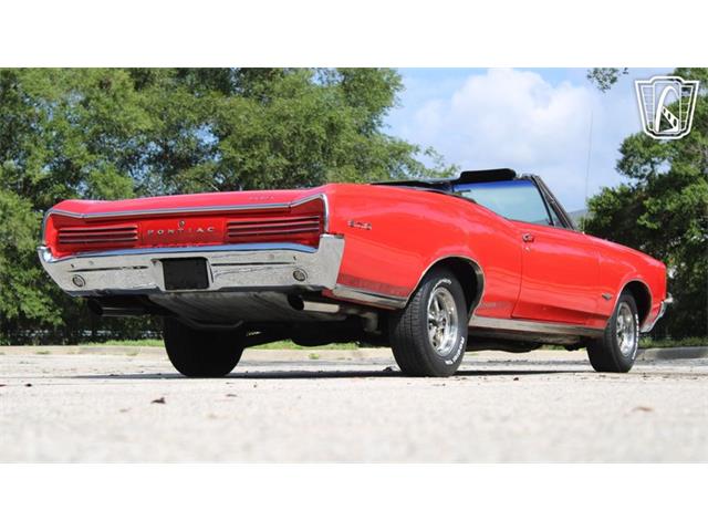 1966 Pontiac GTO (CC-2077295) for sale in Lake Mary, Florida