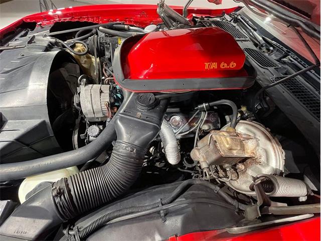 1978 Pontiac Firebird (CC-2077301) for sale in Depew, New York
