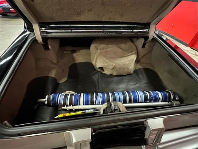 1978 Cadillac Seville (CC-2077302) for sale in Cadillac, Michigan