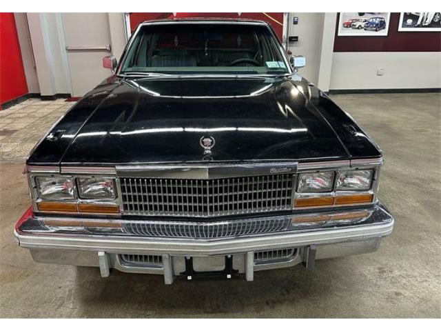 1978 Cadillac Seville (CC-2077302) for sale in Cadillac, Michigan