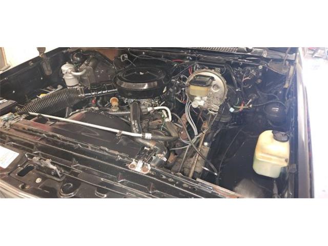 1983 GMC Sierra (CC-2077309) for sale in Cadillac, Michigan