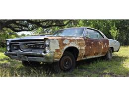 1966 Pontiac GTO (CC-2077314) for sale in Cadillac, Michigan