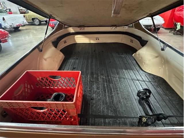 1980 Chevrolet El Camino (CC-2077324) for sale in Cadillac, Michigan