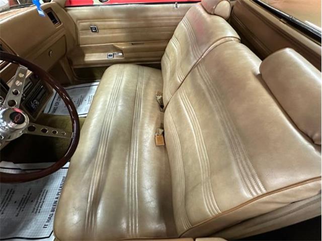 1980 Chevrolet El Camino (CC-2077324) for sale in Cadillac, Michigan