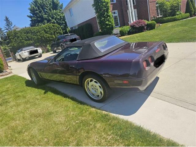1992 Chevrolet Corvette (CC-2077326) for sale in Cadillac, Michigan