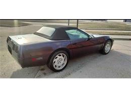 1992 Chevrolet Corvette (CC-2077326) for sale in Cadillac, Michigan
