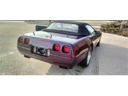 1992 Chevrolet Corvette (CC-2077326) for sale in Cadillac, Michigan