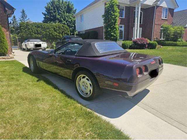 1992 Chevrolet Corvette (CC-2077326) for sale in Cadillac, Michigan