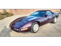 1992 Chevrolet Corvette (CC-2077326) for sale in Cadillac, Michigan