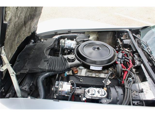 1978 Chevrolet Corvette (CC-2077331) for sale in Sarasota, Florida