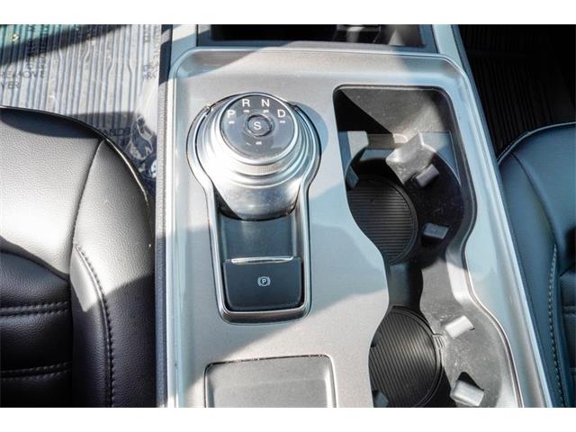 2024 Ford Edge (CC-2077352) for sale in Ramsey, Minnesota