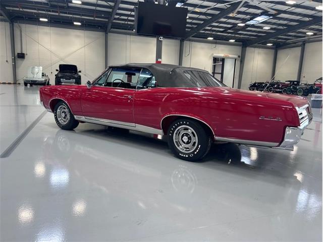 1967 Pontiac GTO (CC-2077358) for sale in Greensboro, North Carolina