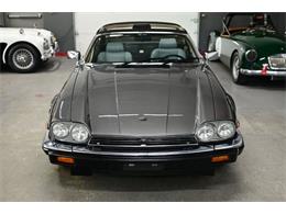 1987 Jaguar XJSC (CC-2070737) for sale in Lebanon, Tennessee