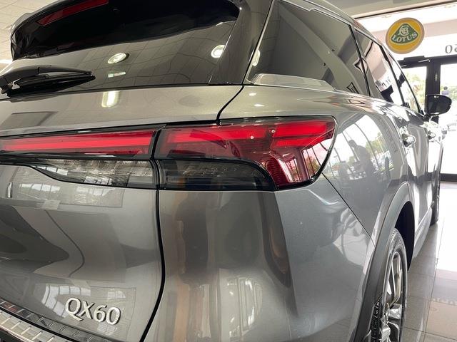 2024 Infiniti QX60 (CC-2077372) for sale in Jacksonville, Florida